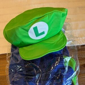 ADULT LUIGI COSTUME